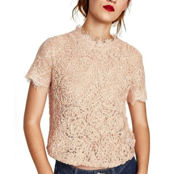 Zara Blush Lace top - Picture 1 of 3
